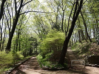 立野緑地