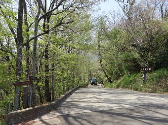 頭高山へ