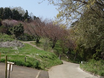 頭高山入口