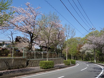 南ヶ丘小学校　竪穴式住居