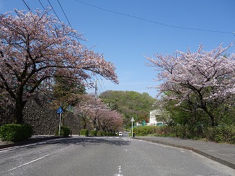 「秦野総合高校前」交差点