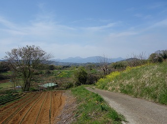 渋沢丘陵