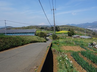 渋沢丘陵