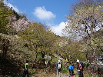 八ツ田　坪山登山口