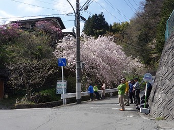 学校前バス停