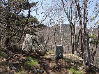 1168ｍ