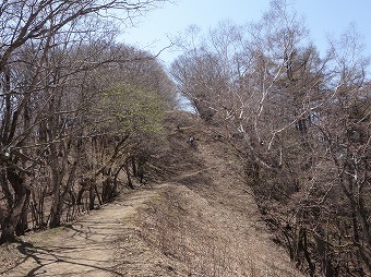 川苔山へ