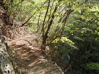 川苔谷