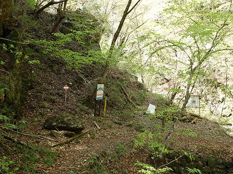 曲ヶ谷沢右岸尾根取り付き