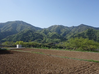 倉岳山～高畑山～大桑山