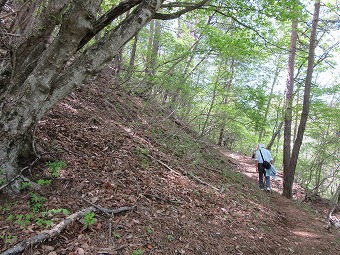 750ｍ辺りに登山道