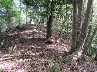 高畑山北尾根