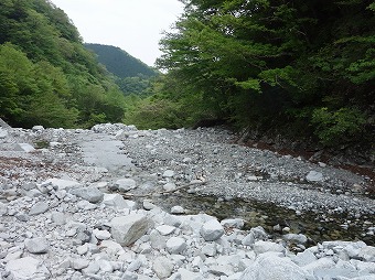 ゴーラ沢出合