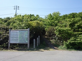 「ドンデン周辺の花と見頃」