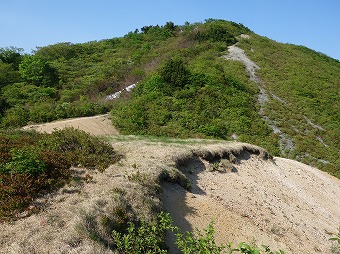 石花越分岐