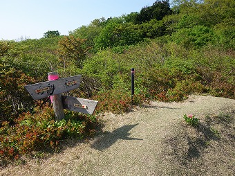 石花越分岐