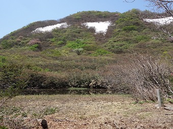 あやめ池