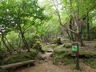 片瀬峠