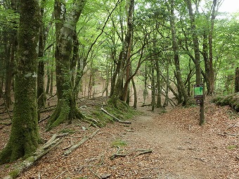 白田峠