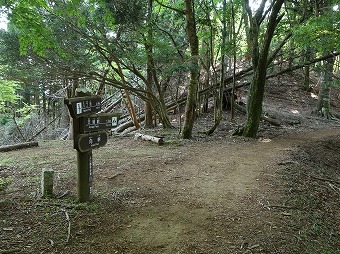 向峠