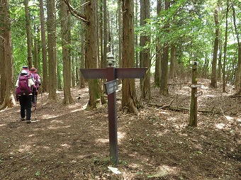 「不老の活路」へ