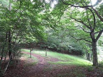 田和分岐