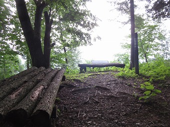 大羽根山　山頂