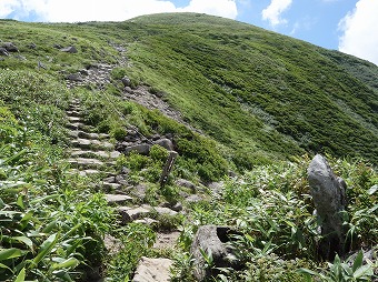 姥ヶ岳分岐