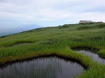 弥陀ヶ原と鳥海山