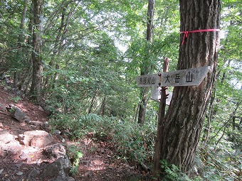 千足尾根分岐