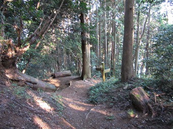 瀬音の湯　分岐