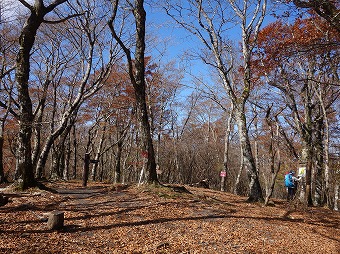 三国山山頂