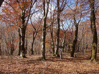 大洞山へ