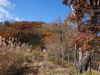 三国山へ