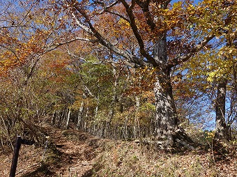 三国山登山口