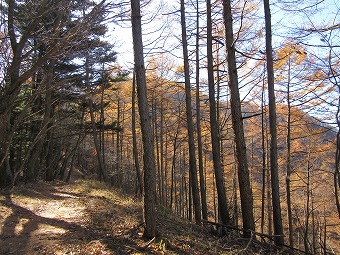 足和田山へ