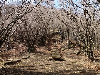 大山山頂へ