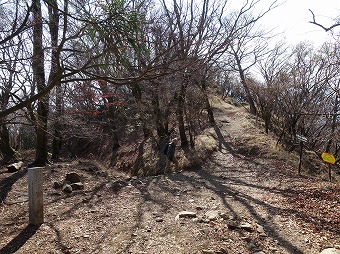 ヤビツ峠分岐