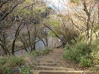 ヤビツ峠へ