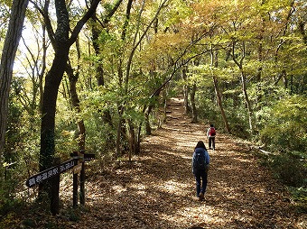 東海大学駅分岐