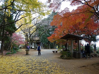 弘法山山頂