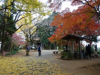 弘法山山頂