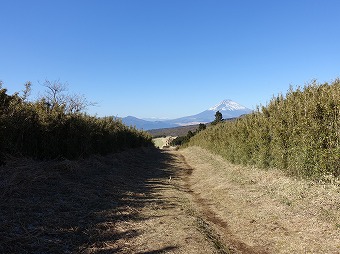 外輪山防火帯