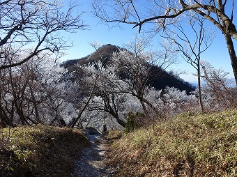 塔ノ岳へ　霧氷の道