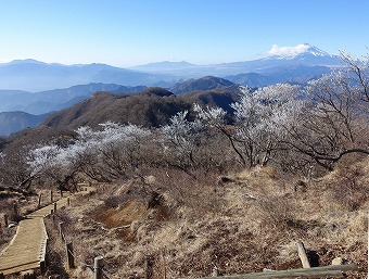 鍋割山へ