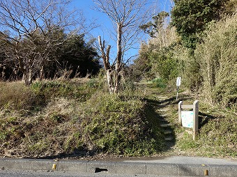 とみやま水仙遊歩道