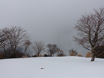 鍋割山山頂