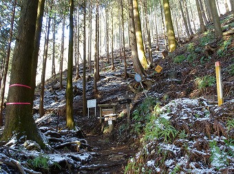 大倉高原分岐