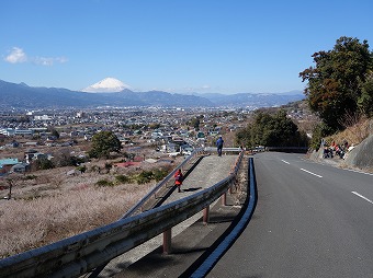 曽我梅林へ