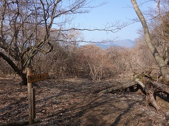 松田山みどりの風自然遊歩道